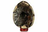 Septarian Dragon Egg Geode - Black Crystals #177408-1